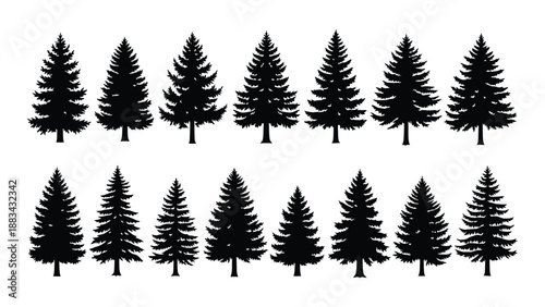 Collection of pine tree silhouettes isolated on white background, Vector