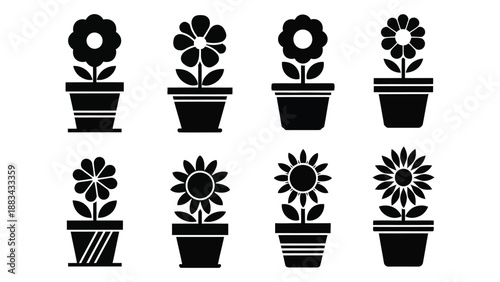 Collection of potted flowers isolated on white background, Vector