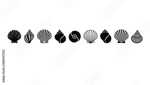 Collection of shell illustrations isolated on white background, Vector