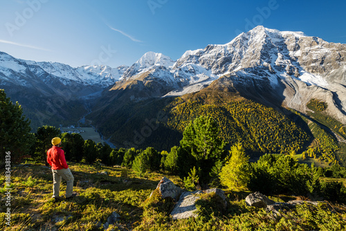 Slika na platnu Königspitze, Ortler, Wanderer blickt über das Suldental, Sulden, Nationalpark St