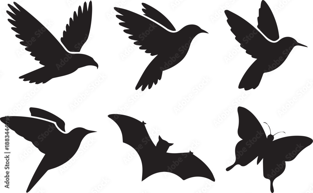 Fototapeta premium Silhouettes of birds in flight and perched positions. Black isolated vector shapes ideal for wildlife, nature, ecology, design, and decorative projects.