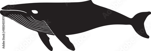 Silhouette of a whale against a transparent background, highlighting its elegant form and aquatic nature