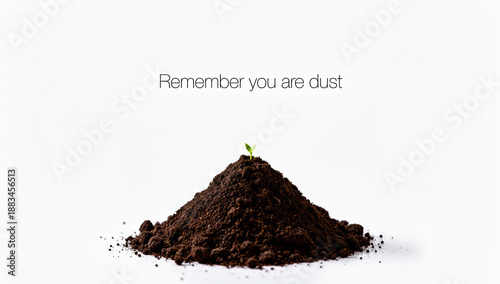 Soil mound with sprout symbolizing growth against white background  