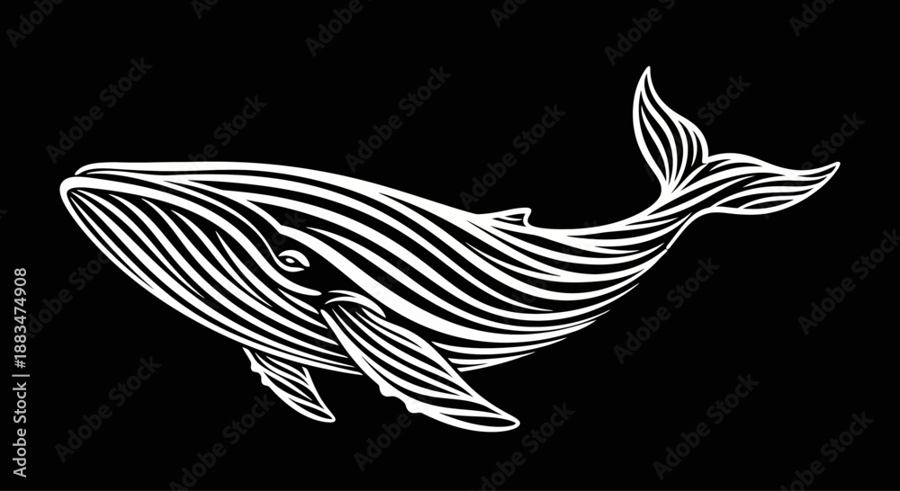 Obraz premium Stylized white whale illustration on a black background.