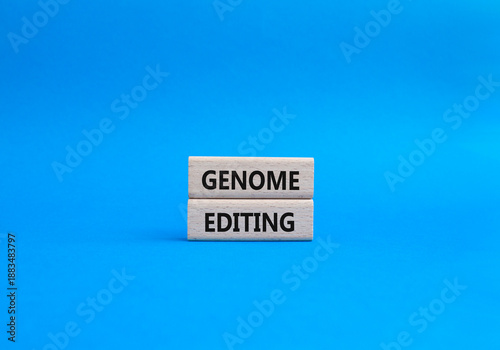 Genome Editing symbol. Wooden blocks with words Genome Editing. Beautiful blue background. Genetics and Genome Editing concept. Copy space.