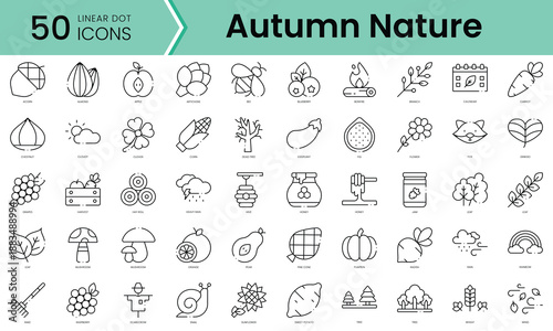 Set of autumn nature icons. Line art style icons bundle. vector illustration