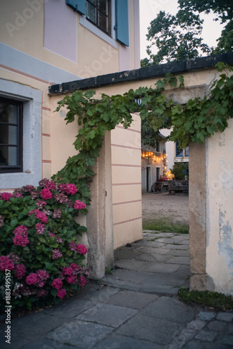 Atmospheric evening in the summer golden hour