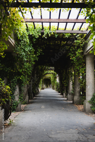 Calm park with nature