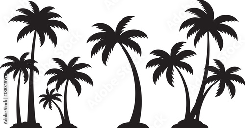 Silhouette of palm trees