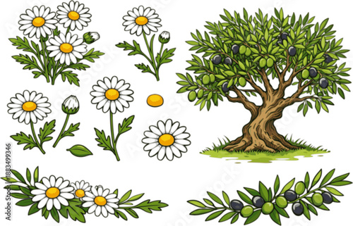 set of Daisy in a vector style isolated. Full name of the plant: daisy, chamomile. Vector olive tree for background, texture, wrapper pattern, frame or border 