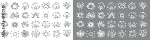A comprehensive vector collection displays diverse trees and bushes in a top-down view outline style, presented effectively on contrasting black and grey backgrounds.