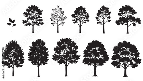 Collection of various tree silhouettes in different shapes and sizes