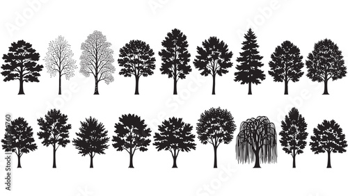 Collection of various tree silhouettes in black isolated on transparent background
