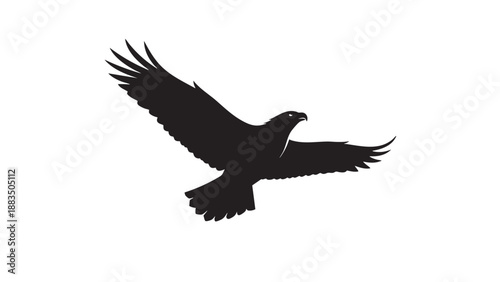 Silhouette of a bird soaring with outstretched wings on transparent background