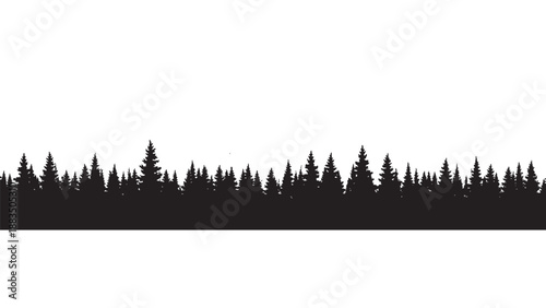 Silhouette of a pine forest on a white background