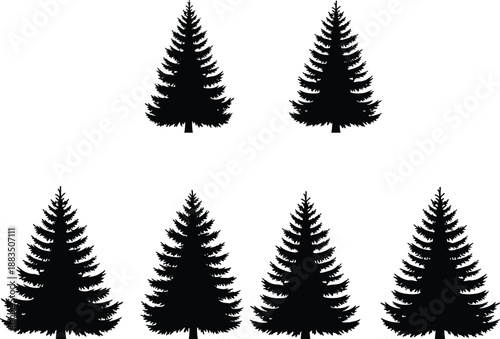 Pine tree silhouette collection, black evergreen fir trees set isolated on white background for winter forest design