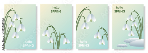 A set of four snowdrop posters
