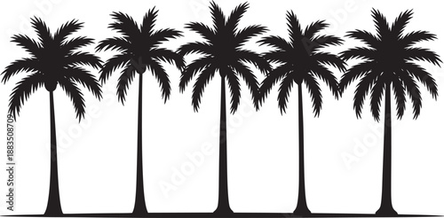 Black palm tree silhouettes on white palm trees background