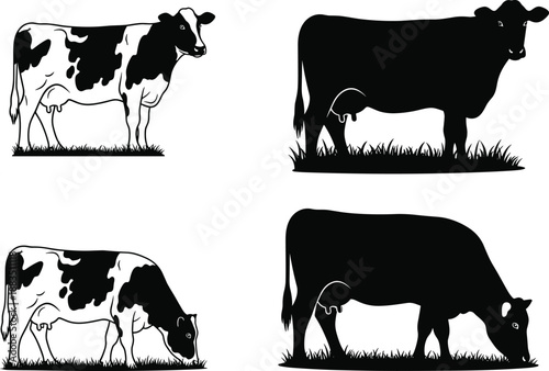 Cow silhouette and dairy cattle illustration set, grazing farm animal collection isolated on white background for agriculture design