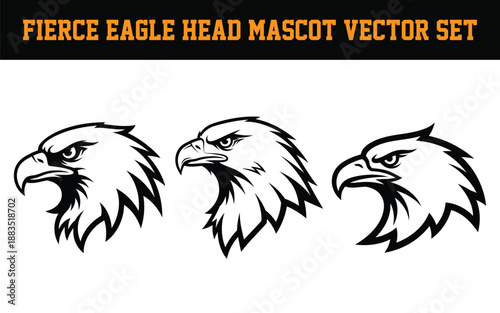 Fierce eagle head mascot vector set with three different views  side and front profiles of strong bird heads