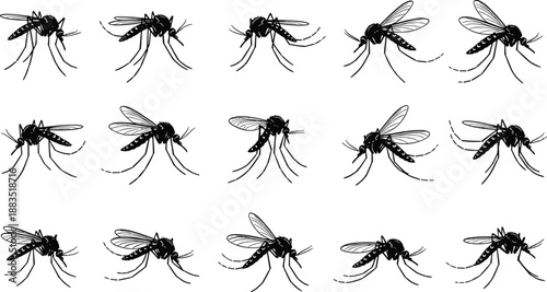 Hand Drawn Mosquito Silhouette Illustration Set Showing Flying Insects in Different Poses for Pest Control, Nature and Biology Design