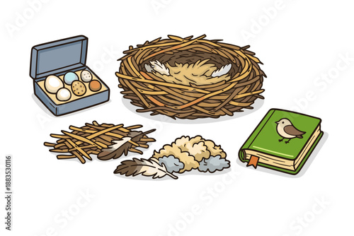 Birdwatching essentials with nest, eggs, and nature handbook in cartoon style