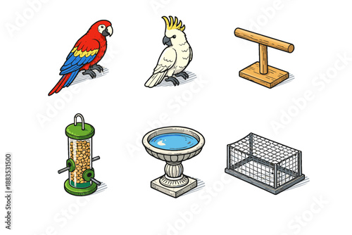 Colorful birds and accessories set in detailed cartoon style
