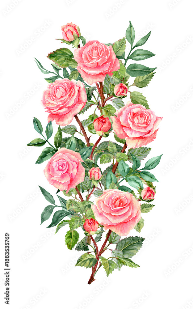 Fototapeta premium Five rose flowers in the vertical Bouquet with foliage