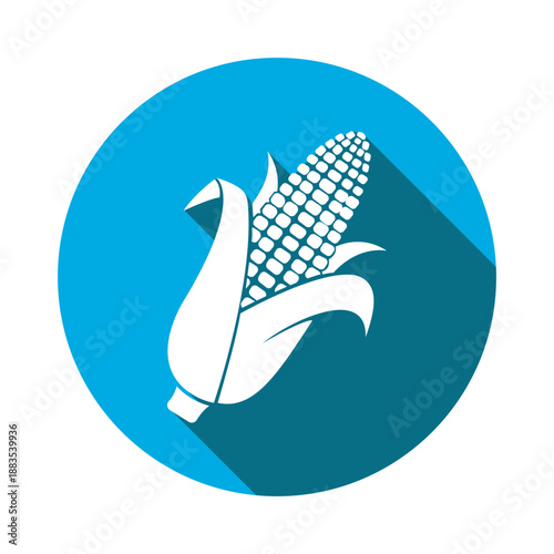 Fresh sweet corn ear icon with husks a vibrant blue circle flat design symbol perfect for agriculture food and harvest