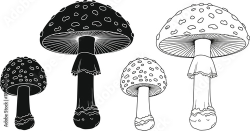 a black and white illustration featuring several stylized amanita mushroom drawings