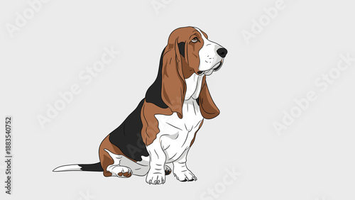 Long-eared basset hound dog sitting with a soulful expression is depicted in a detailed and high-quality vector drawing.