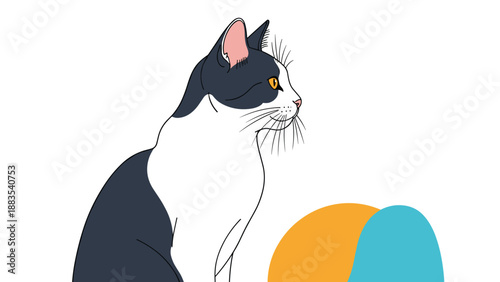 Domestic black and white cat sitting and looking to the side is illustrated with clean lines and simple abstract elements.