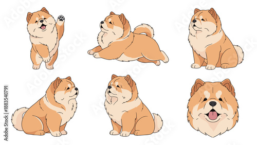 Set of adorable chow chow dog illustrations featuring different sitting and playing poses in a clean vector art style.