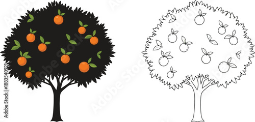 orange tree illustration a colorful and black and white depiction of fruit bearing trees