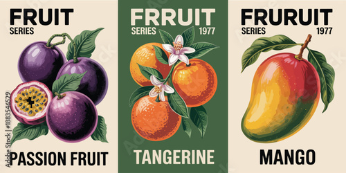 Artistic Vintage Fruit Collection Passion Fruit, Tangerine, and Mango Illustrations