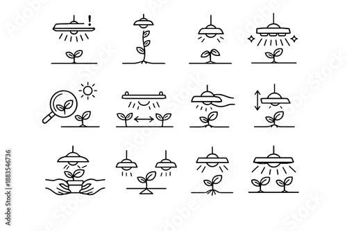 Vector grow stretched insufficient stem calm plant logic risk icon light cue