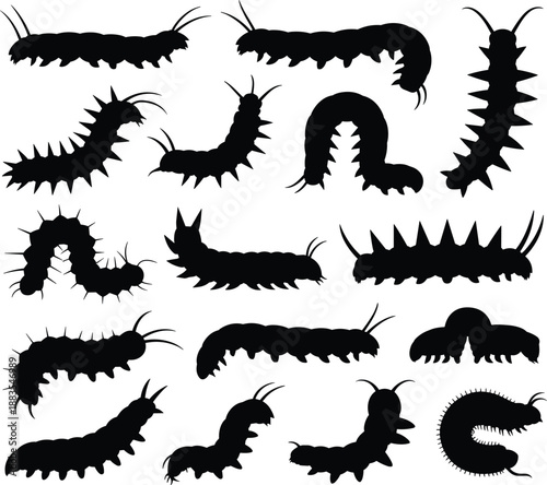 Black caterpillar and larva silhouettes set isolated on white background showing multiple crawling poses, spiky larvae shapes, minimalist vector illustration for biology, nature conceptsWeb