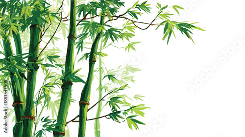Green Bamboo Design Vector Art and Illustration for Professionals