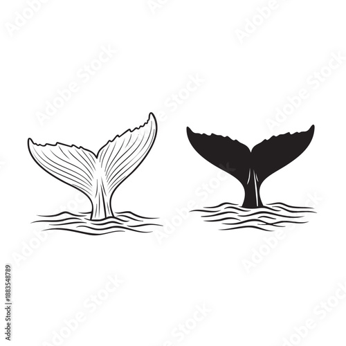 Minimalist whale tail illustrations isolated on transparent background