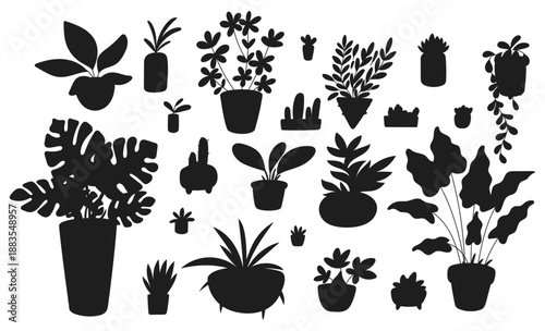 Indoor plants in flower pots. Ficus in flowerpot. Decorative home greenery. Potted succulents and cactuses foliage. Monstera palm leaves. Vector set of black silhouettes of houseplants