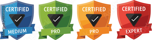 Certified shield badge set with medium, pro and expert levels, colorful security verification icons isolated on white background
