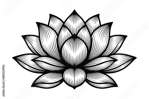 Lotus flower blossom, spiritual and wellness symbol