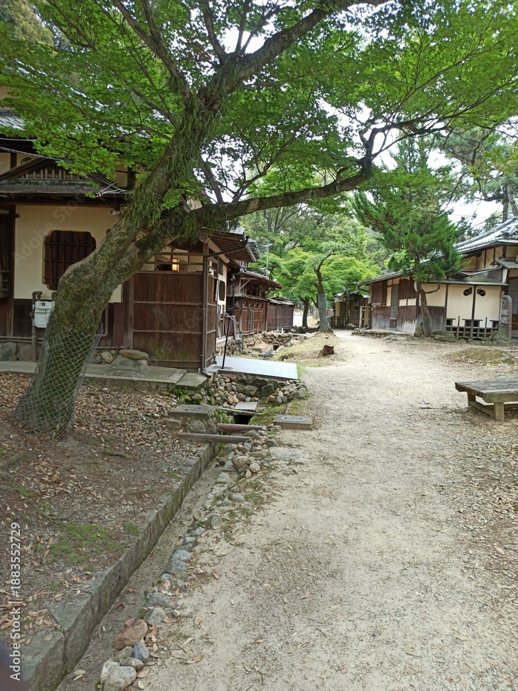 Fototapeta premium Nara Travel, Japan Trip