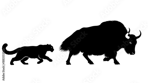 Silhouettes of a graceful leopard and a powerful yak walking side by side