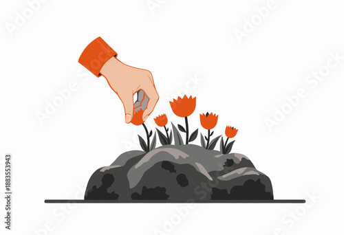 A Hand Gently Plucking Vibrant Red Tulips Growing Between Gray Rocks on a Flat Surface