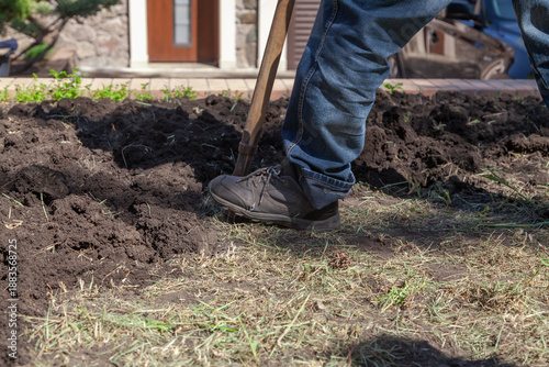 Foot in sneakers presses on  shovel in garden in yard