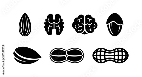 Collection of various nuts and seeds