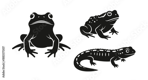 Black silhouettes of frog and lizard