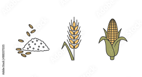 Illustration of rice pile and corn on the cob with wheat