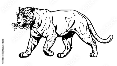 A black and white vector illustration of a walking leopard in a minimalist style